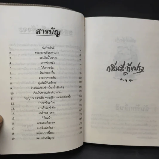 กลิ่นสีและทีแปรง - พิษณุ ศุภ รูปที่ 11