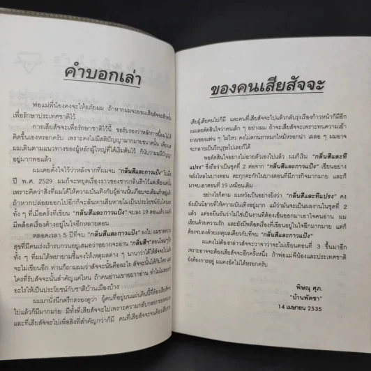 กลิ่นสีและทีแปรง - พิษณุ ศุภ รูปที่ 10