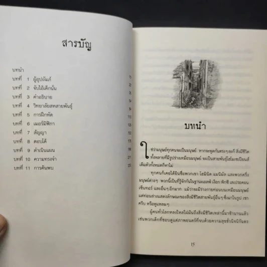 ผจญภัยในแดนเงือก - Pieretta Dawn รูปที่ 9