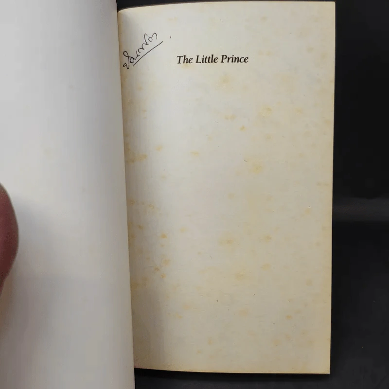 The Little Prince + A Little Princess รูปที่ 14