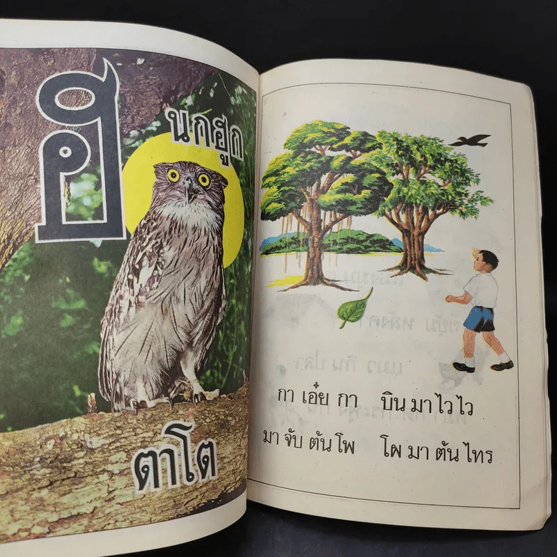 แบบเรียนก.ไก่ อนุบาล รูปที่ 11