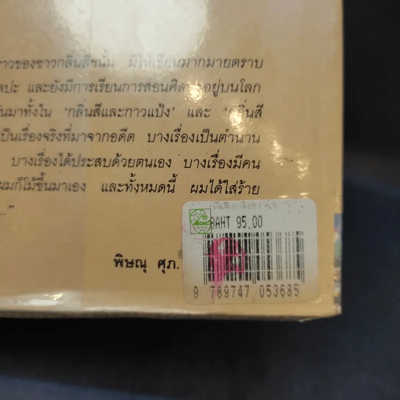 กลิ่นสีและทีแปรง - พิษณุ ศุภ รูปที่ 14