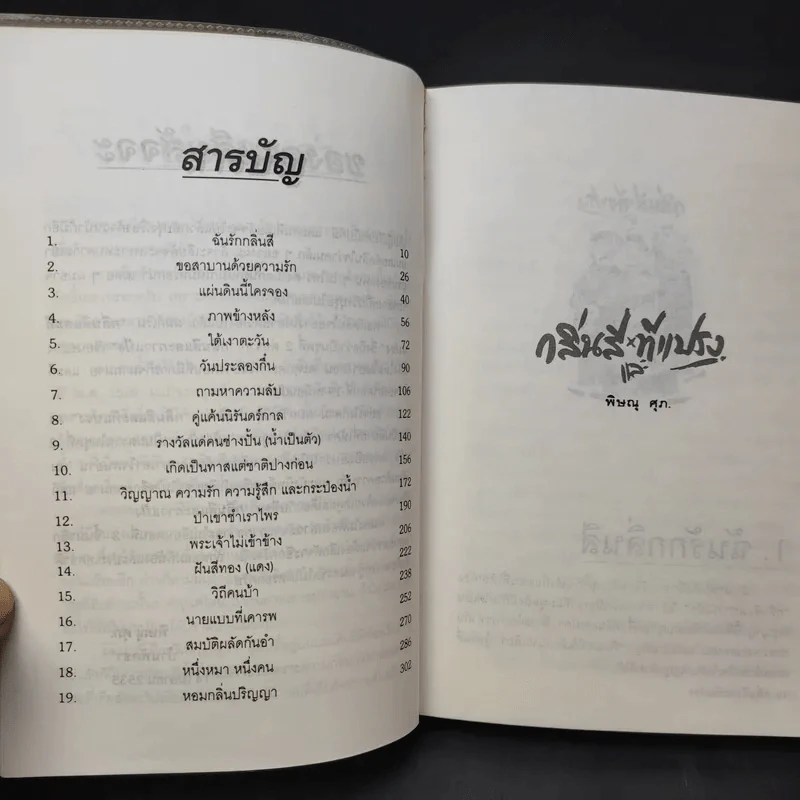กลิ่นสีและทีแปรง - พิษณุ ศุภ รูปที่ 11