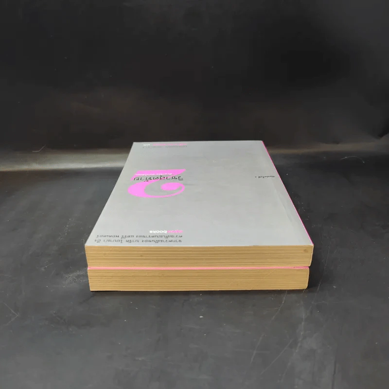 วิชาสุดท้ายที่มหาวิทยาลัยไม่ได้สอน เล่ม 1-2 - สฤณี อาชวานันทกุล รูปที่ 6