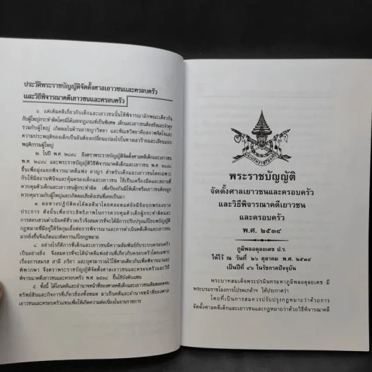 พระราชบัญญัติ จัดตั้งศาลเยาวชนและครอบครัวและวิธีพิจารณาคดีเยาวชนและครอบครัว - พิชัย นิลทองคำ รูปที่ 12