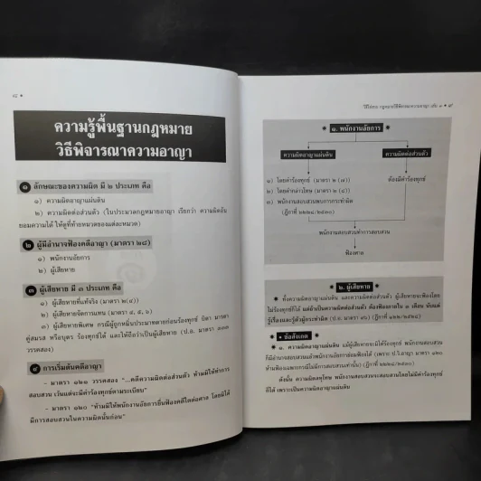เตรียมสอบ ทบทวน สรุปย่อ วิธีไล่สาย กฎหมายวิธีพิจารณาความอาญา เล่ม 3 - วินัย เลิศประเสริฐ รูปที่ 12