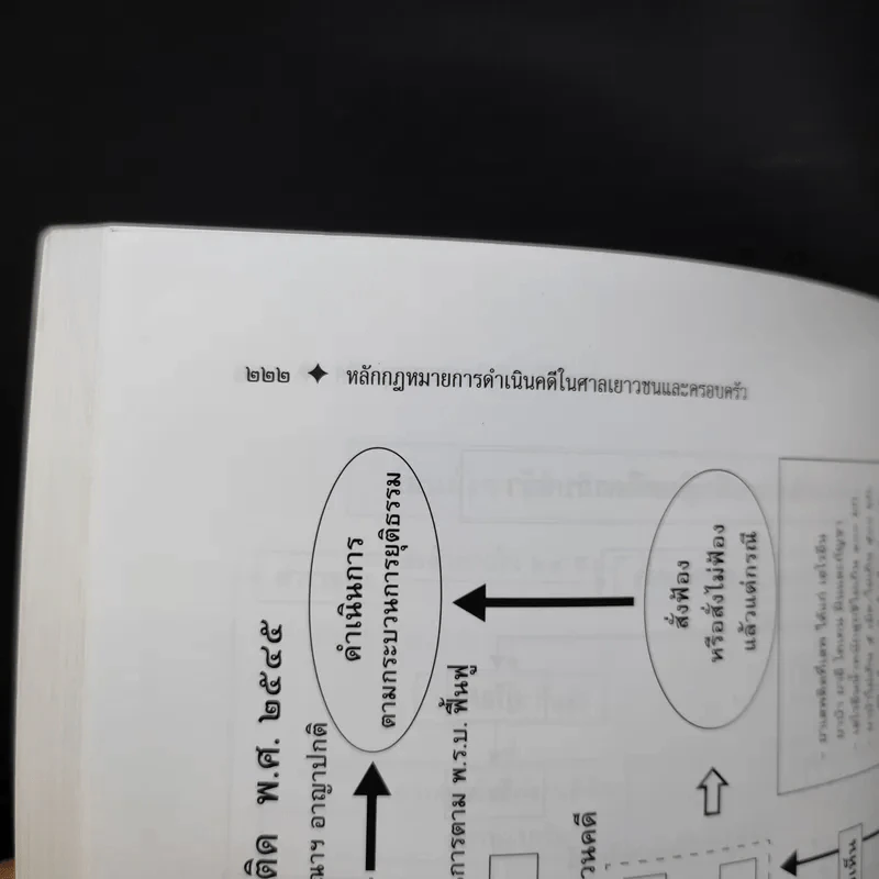 หลักกฎหมาย การดำเนินคดีในศาลเยาวชนและครอบครัว - วรวิทย์ ฤทธิทิศ รูปที่ 16