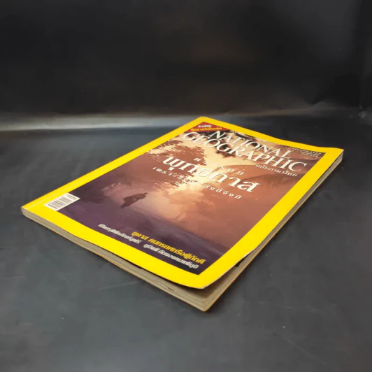 National Geographic พฤษภาคม 2549 ตามรอยพุทธทาส รูปที่ 7