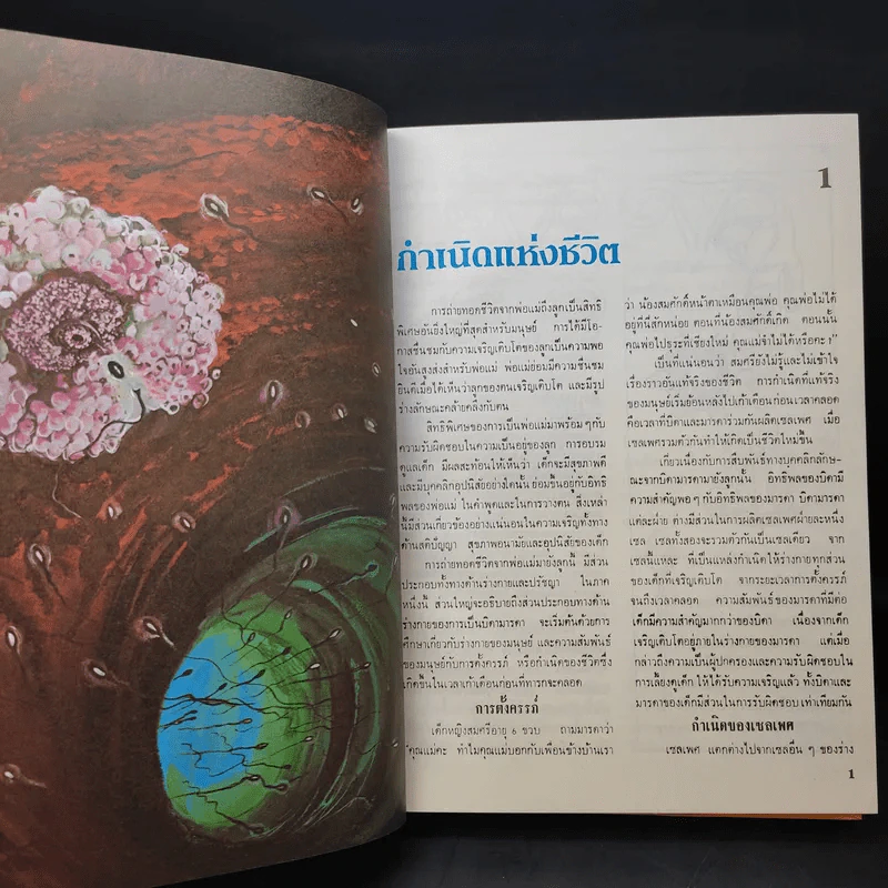 แพทย์ในบ้าน เล่ม 1-3 - แฮโรลด์ ไชรร็อด M.D. รูปที่ 12