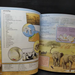 โลกและการเปลี่ยนแปลง รูปที่ 10