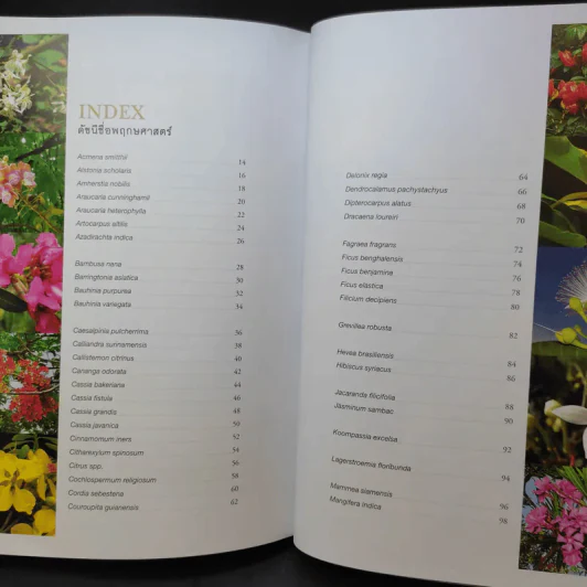 Her Majesty Queen Sirikit : Mother of Biological Diversity Protection 80 พันธ์ไม้ของสวนเบญจกิติ รูปที่ 16