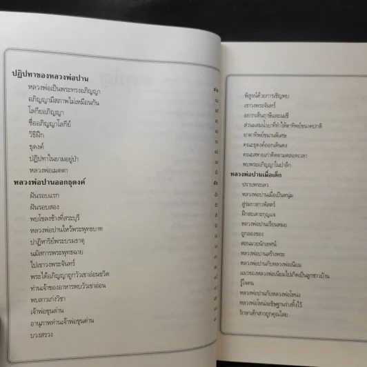 ประวัติหลวงพ่อปาน โสนันโท (พระครูวิหารกิจจานุการ) รูปที่ 12
