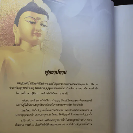 ธัมมเจติยะ พระบรมศาสดา รูปที่ 15