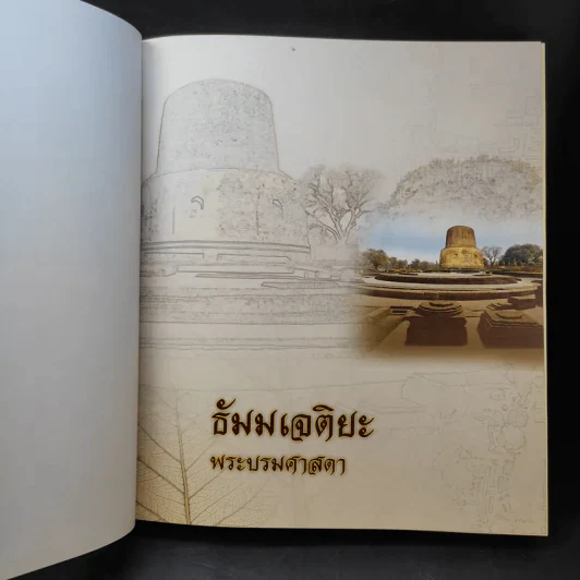 ธัมมเจติยะ พระบรมศาสดา รูปที่ 9