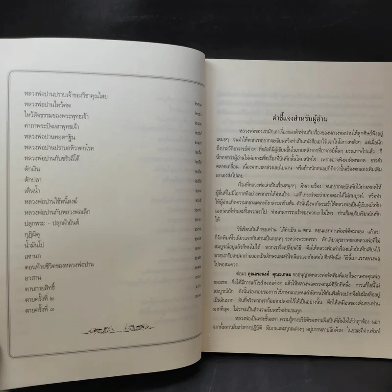 ประวัติหลวงพ่อปาน โสนันโท (พระครูวิหารกิจจานุการ) รูปที่ 13