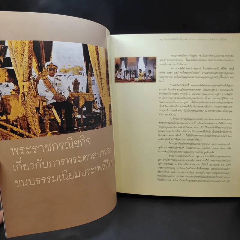 ภาพจิตรกรรมฝีพระหัตถ์รัชกาลที่ 9 รูปที่ 13