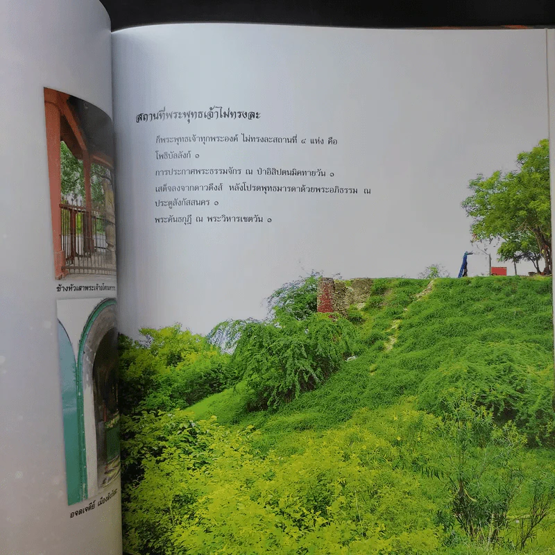 ธัมมเจติยะ พระบรมศาสดา รูปที่ 16