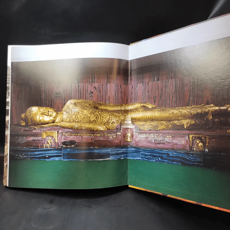 ธัมมเจติยะ พระบรมศาสดา รูปที่ 18
