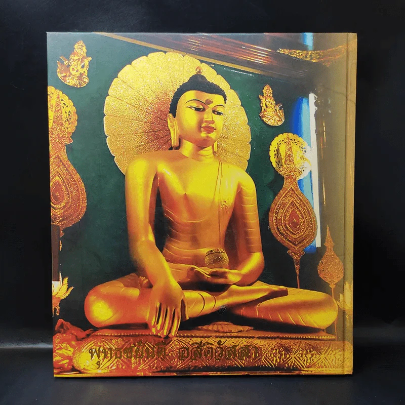 ธัมมเจติยะ พระบรมศาสดา รูปที่ 2