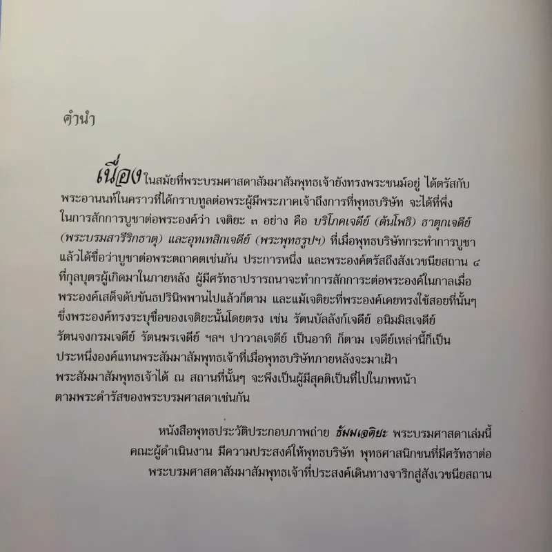ธัมมเจติยะ พระบรมศาสดา รูปที่ 10
