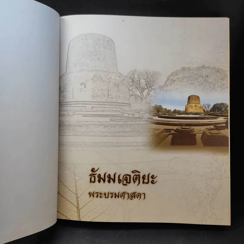 ธัมมเจติยะ พระบรมศาสดา รูปที่ 9