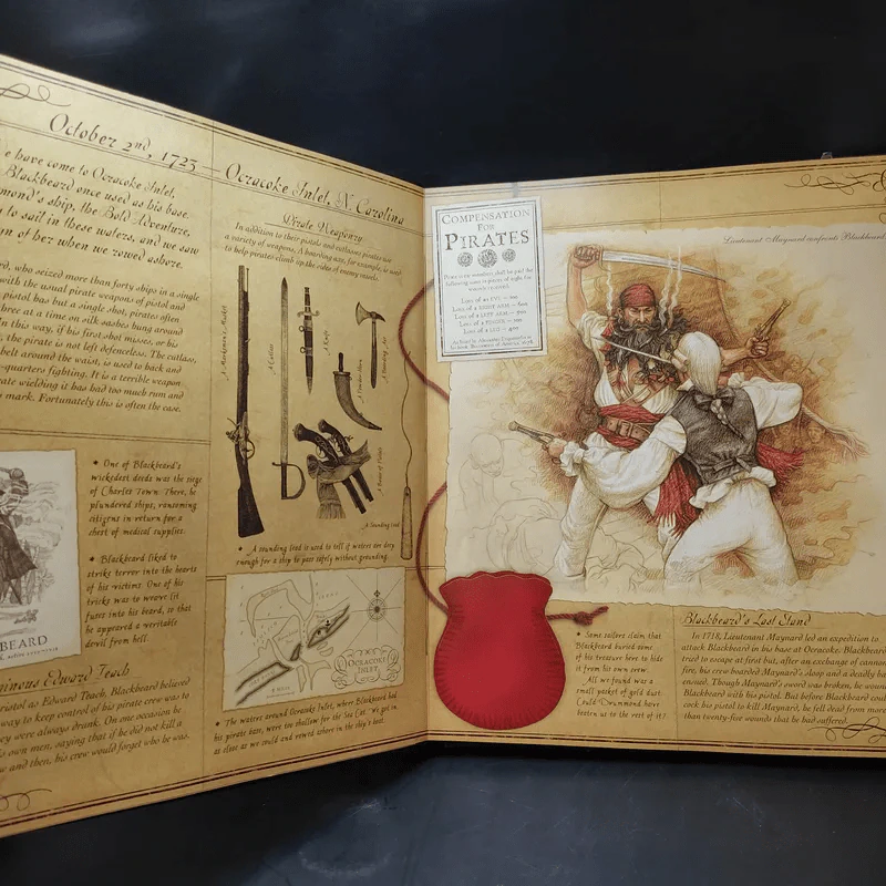 Pirateology: The Pirate Hunter's Companion รูปที่ 12