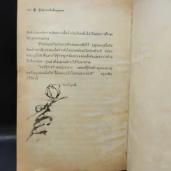 ผู้หญิงคนนั้นชื่อ บุญรอด - โบตั๋น รูปที่ 13