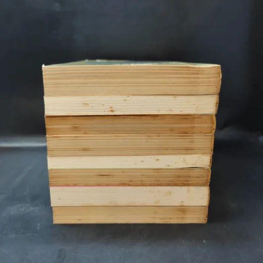 ชุด Box Set บ้านเล็กในป่าใหญ่ รูปที่ 6