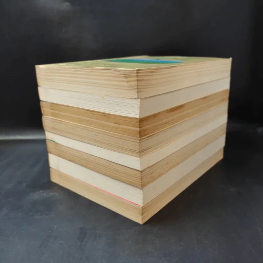 ชุด Box Set บ้านเล็กในป่าใหญ่ รูปที่ 7
