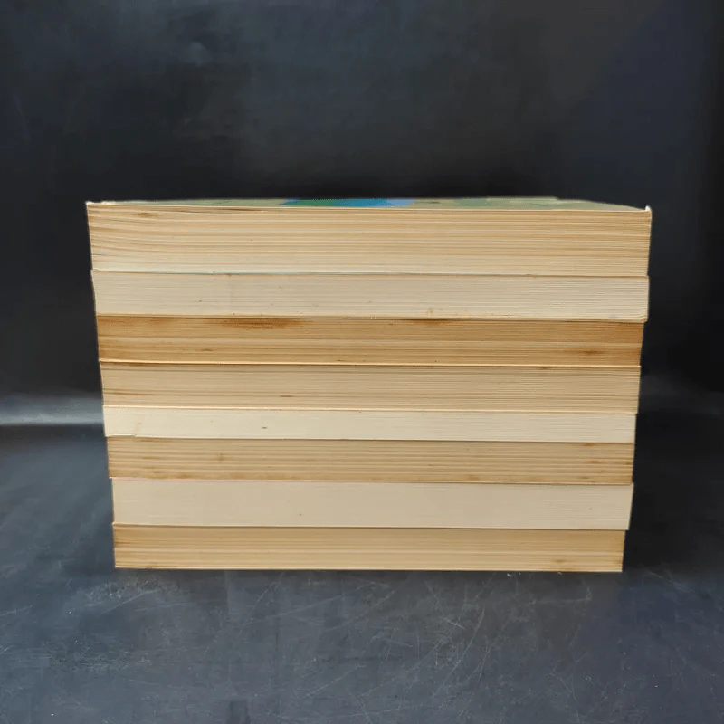 ชุด Box Set บ้านเล็กในป่าใหญ่ รูปที่ 5