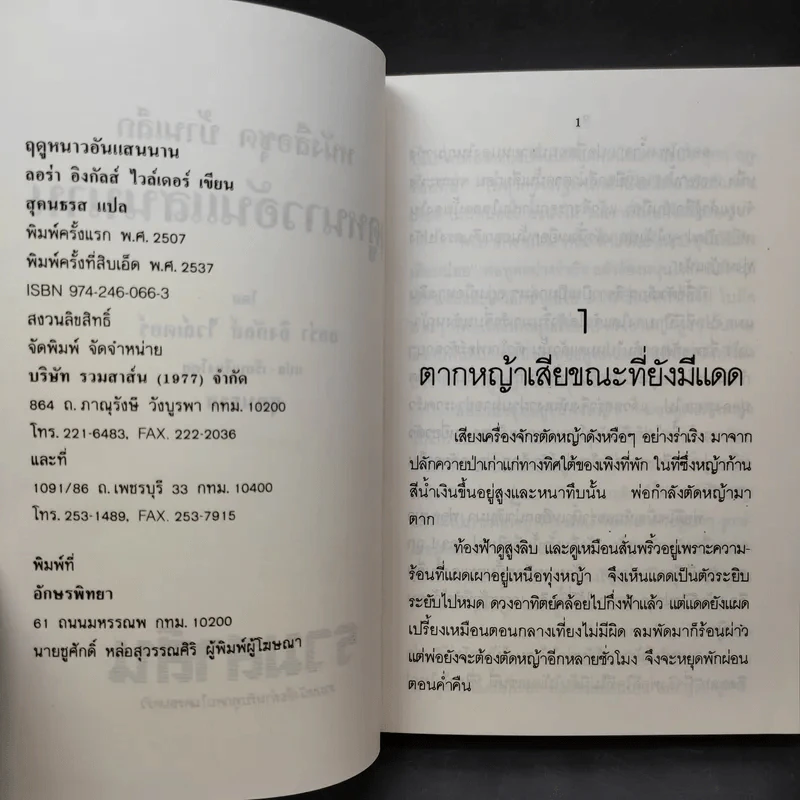 ชุด Box Set บ้านเล็กในป่าใหญ่ รูปที่ 15