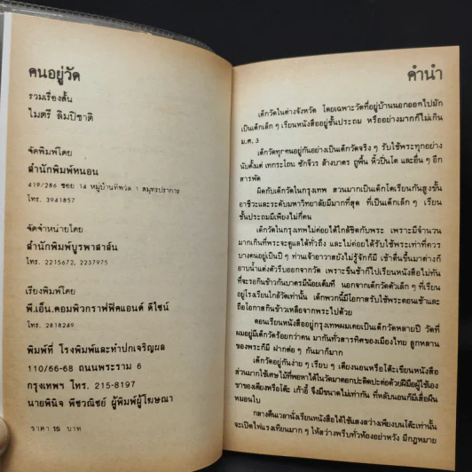 คนอยู่วัด - ไมตรี ลิมปิชาติ รูปที่ 8