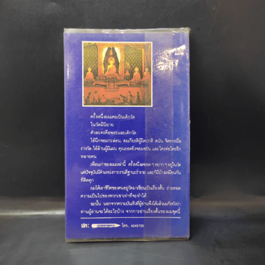 คนอยู่วัด - ไมตรี ลิมปิชาติ รูปที่ 2