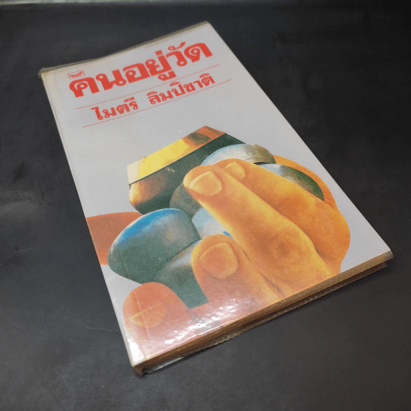 คนอยู่วัด - ไมตรี ลิมปิชาติ รูปที่ 7
