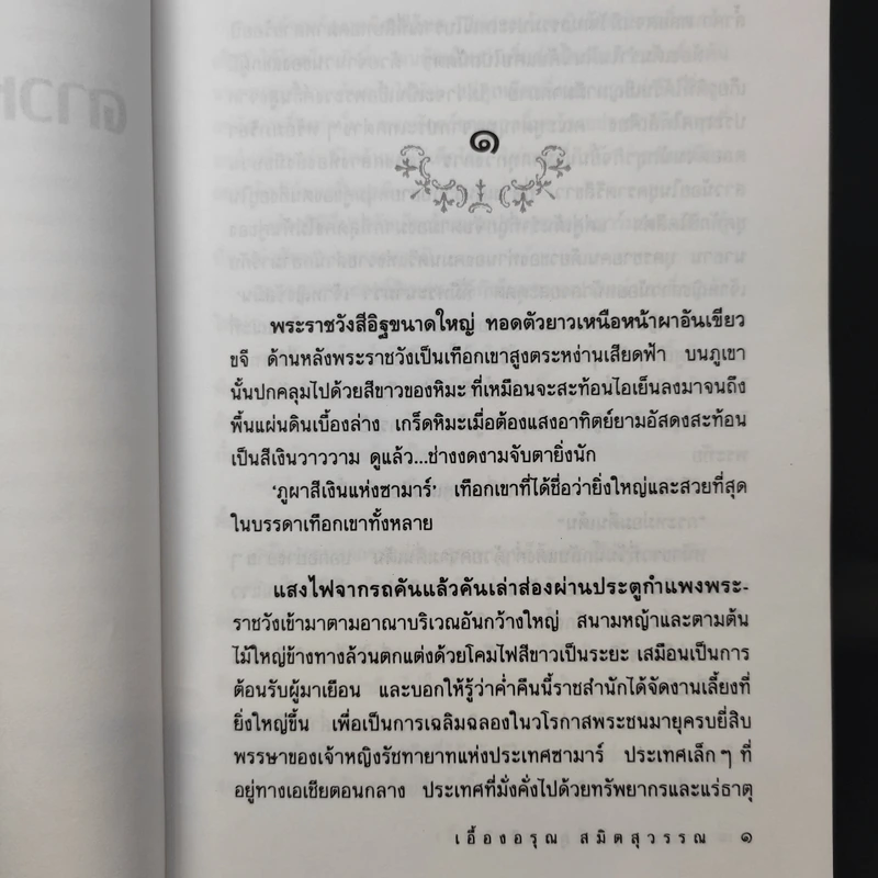 ดาวหลงฟ้าภูผาสีเงิน - เอื้องอรุณ สมิตสุวรรณ รูปที่ 11