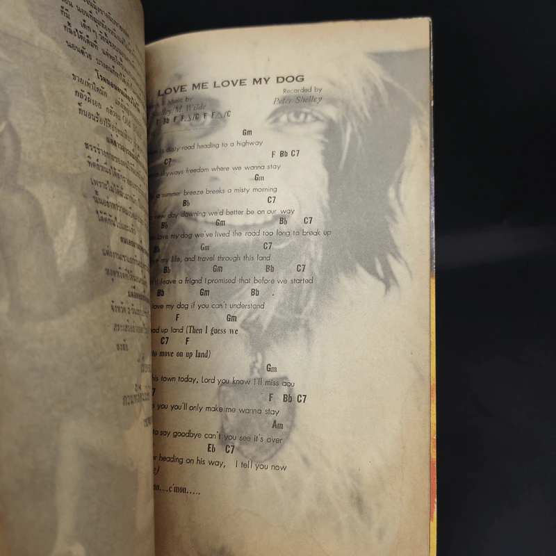 เรียนอังกฤษจากเพลง English from Songs รูปที่ 13