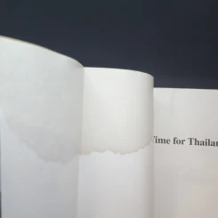 Time for Thailand Profile of a New Success รูปที่ 9