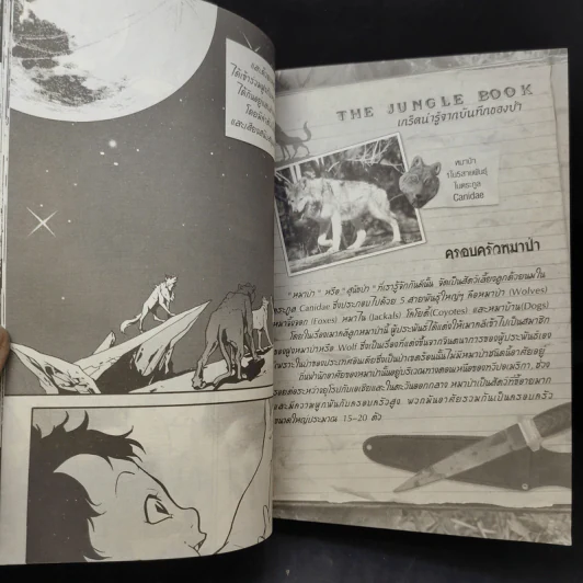 เมาคลี ลูกหมาป่า The Jungle Book - Montri Kumruan รูปที่ 13