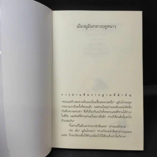 เมืองมูมินกลางฤดูหนาว - Tove Jansson (ตูเว ยานซอน) รูปที่ 9
