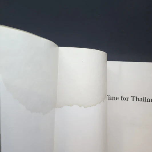 Time for Thailand Profile of a New Success รูปที่ 9