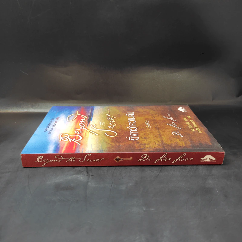 Beyond The Secret ยิ่งกว่าความลับ - ดร.ลิซ่า เลิฟ รูปที่ 3