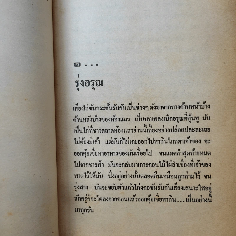 อยู่กับก๋ง - หยก บูรพา รูปที่ 11