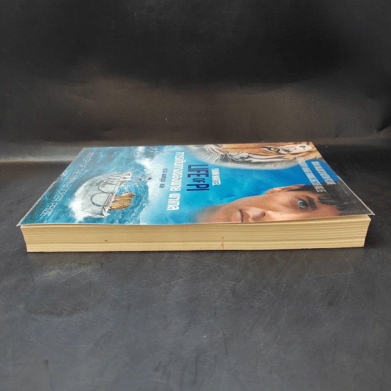 การเดินทางของพาย พาเทล Life of Pi - Yann Martel รูปที่ 5