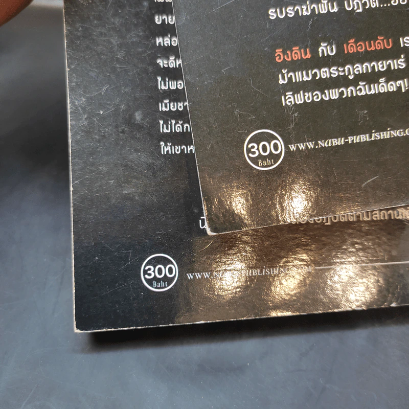 นิยายวาย This is an Order Not Asking นี่ไม่ใช่การขอร้อง แต่เป็นคำสั่ง 2 เล่มจบ - YellowRiver รูปที่ 17