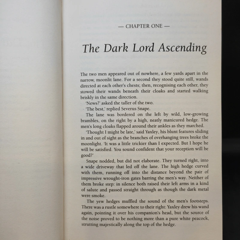 Harry Potter and the Deathly Hallows - J.K.Rowling รูปที่ 11