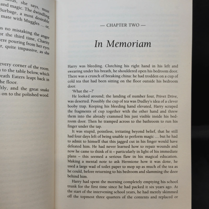 Harry Potter and the Deathly Hallows - J.K.Rowling รูปที่ 12