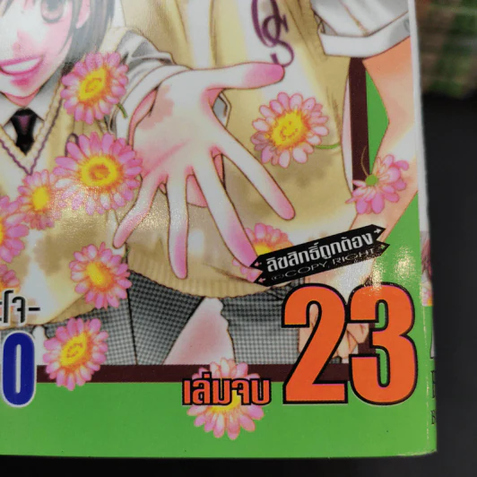 สับขั้วมาลุ้นรัก 23 เล่มจบ รูปที่ 7
