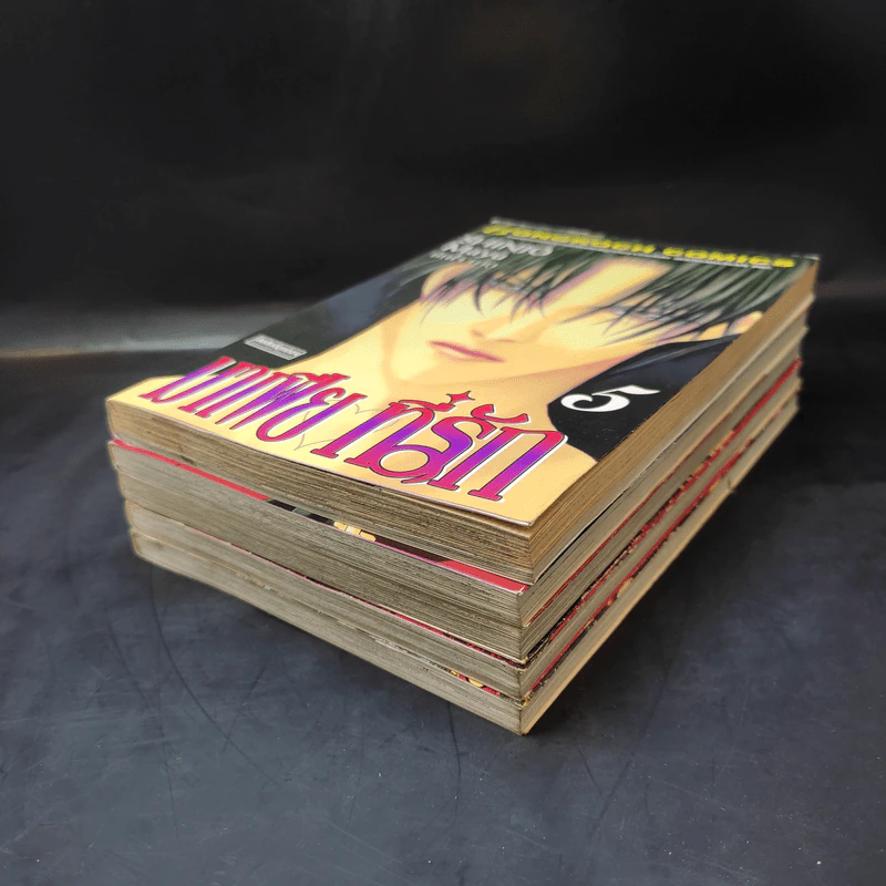 มาเฟียที่รัก เล่ม 1-5 - Shinjo Mayu รูปที่ 6