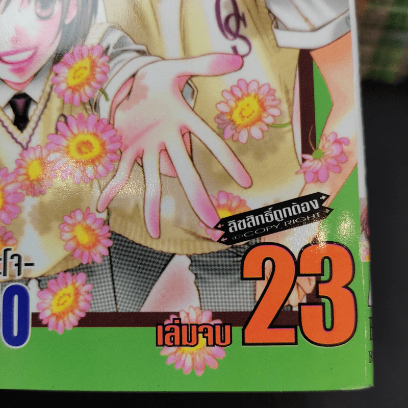 สับขั้วมาลุ้นรัก 23 เล่มจบ รูปที่ 7