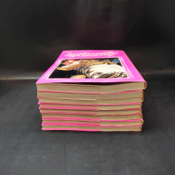ดั่งดวงหฤทัย 8 เล่มจบ รูปที่ 5